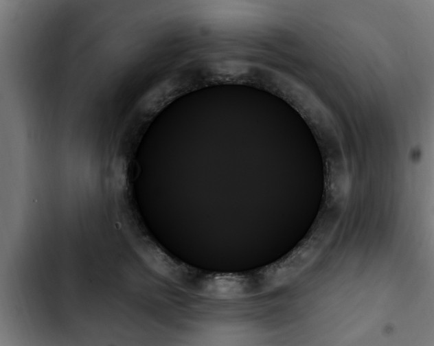 X0000103130758200808291316