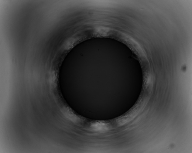 X0000103130759200808291316
