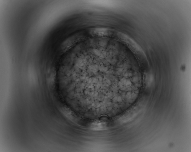 X0000103130760200808291316