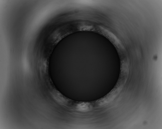 X0000103130761200808291316