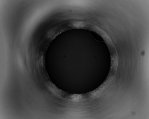 X0000103130762200808291316