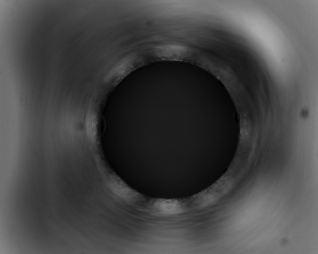X0000103130767200808291316