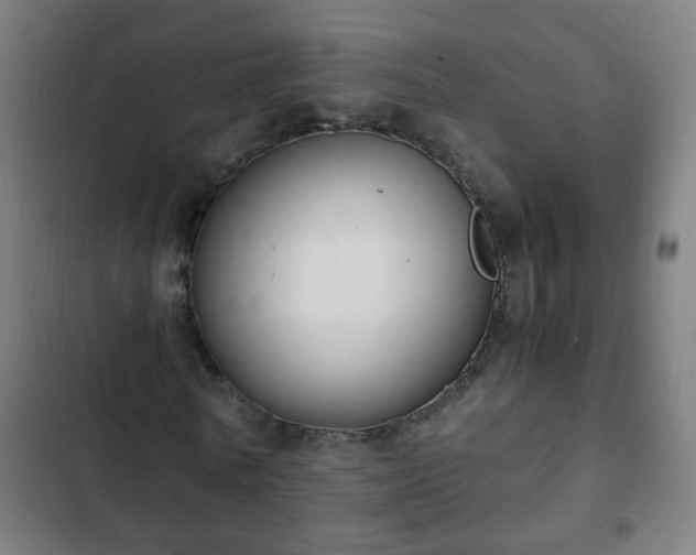 X0000103130770200808291315