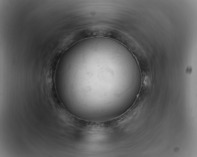 X0000103130771200808291315