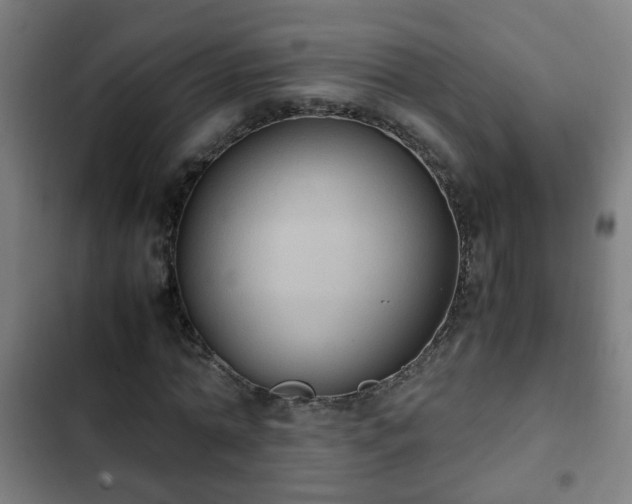 X0000103130774200808291315