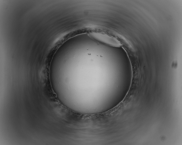 X0000103130776200808291315