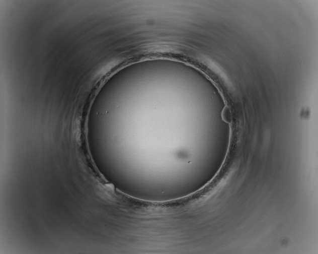 X0000103130777200808291315