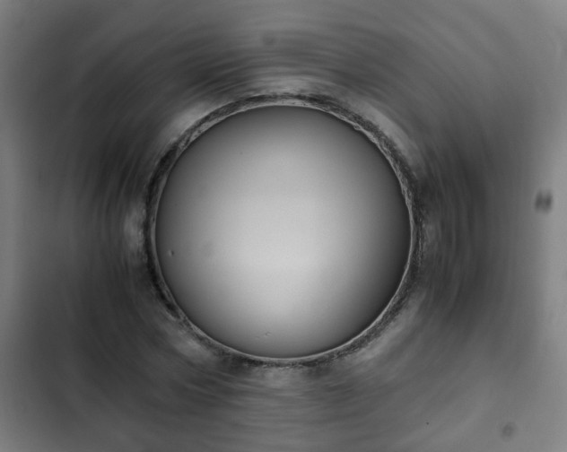 X0000103130778200808291315