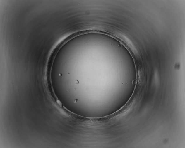 X0000103130780200808291315
