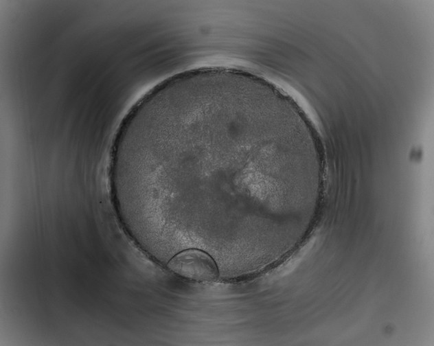 X0000103130783200808291315