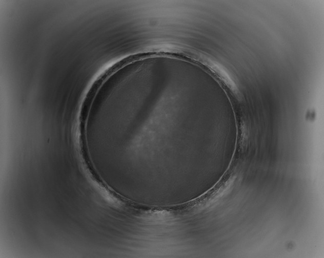 X0000103130784200808291315