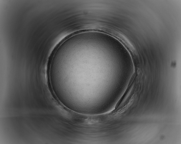 X0000103130788200808291315