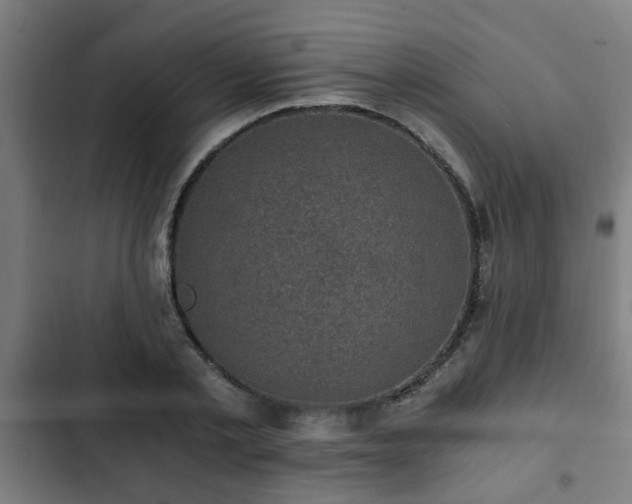X0000103130789200808291315