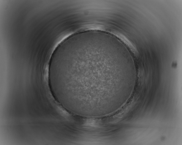 X0000103130790200808291315