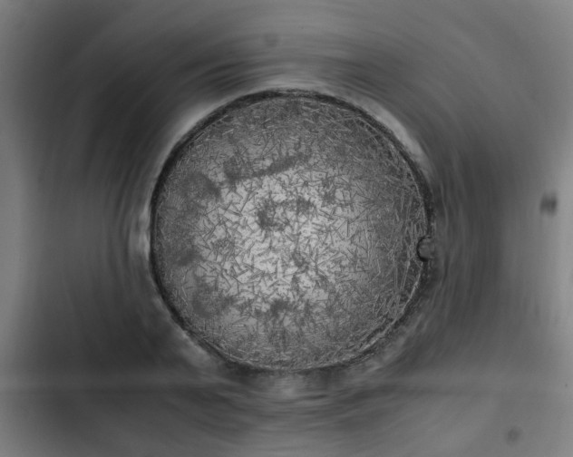 X0000103130791200808291315