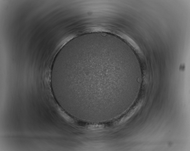 X0000103130793200808291315