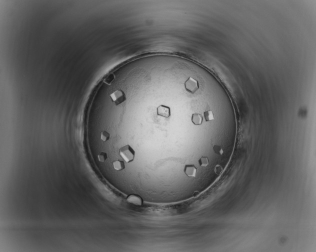 X0000103130795200808291315