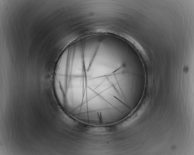 X0000103130801200808291315