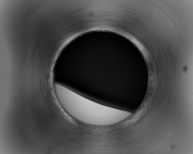 X0000103130807200808291315