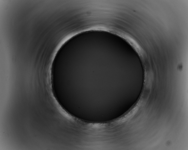 X0000103130808200808291314