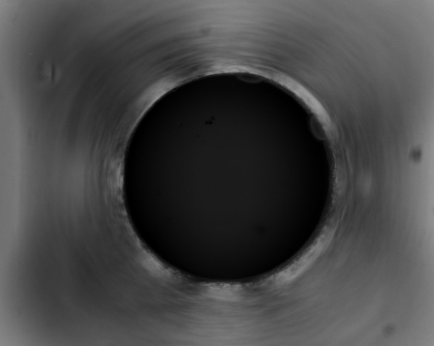 X0000103130809200808291314