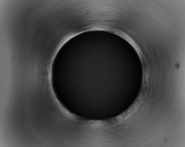 X0000103130811200808291314