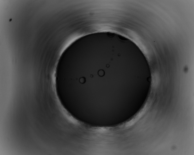 X0000103130814200808291314