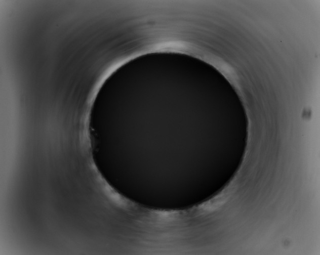 X0000103130816200808291314