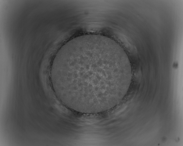 X0000103130817200808291314