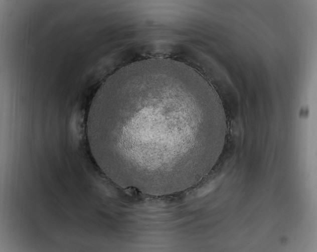 X0000103130818200808291314