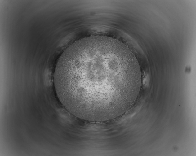 X0000103130819200808291314
