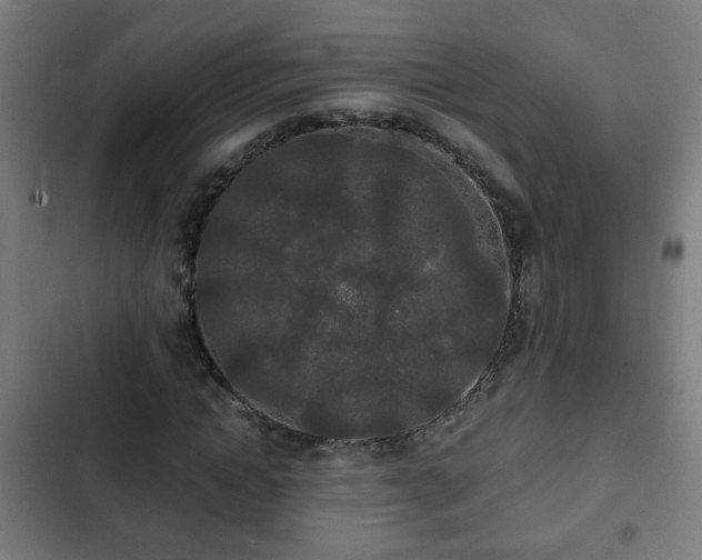 X0000103130822200808291314