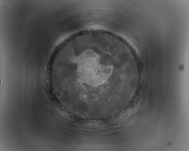 X0000103130823200808291314