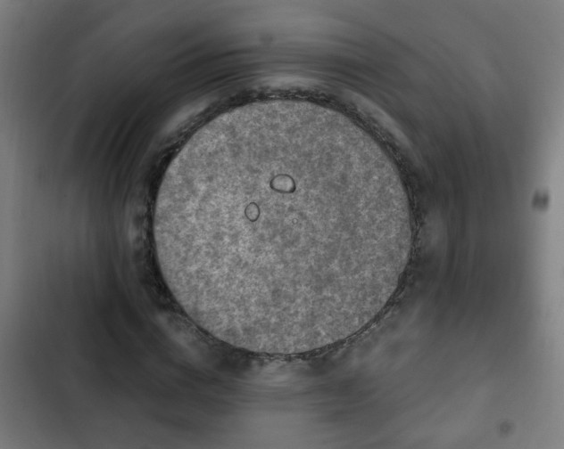X0000103130824200808291314