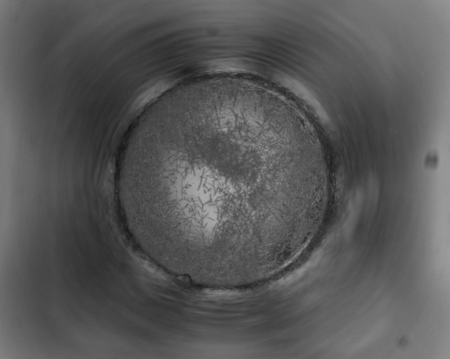 X0000103130825200808291314