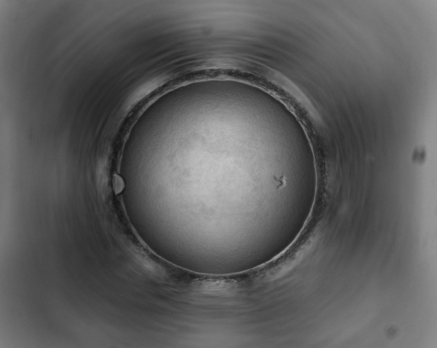 X0000103130826200808291314
