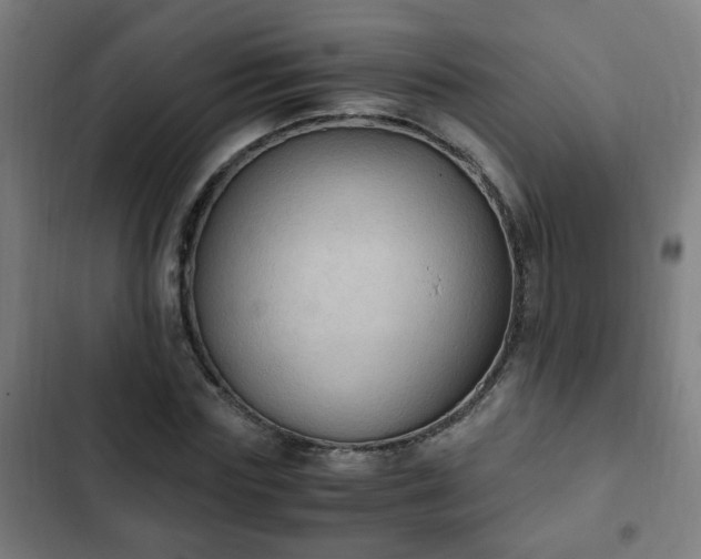 X0000103130827200808291314