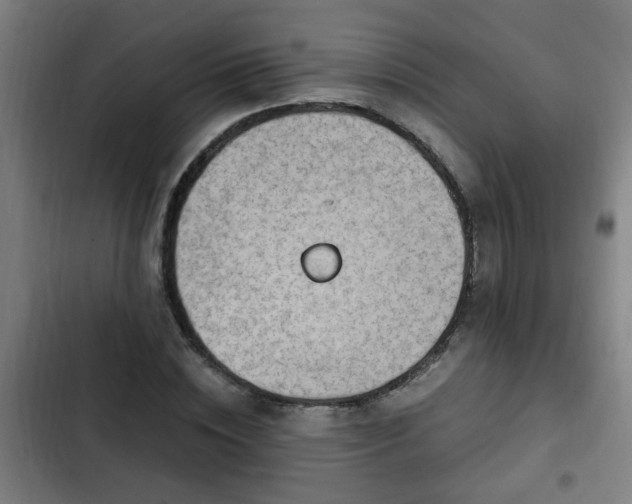 X0000103130828200808291314