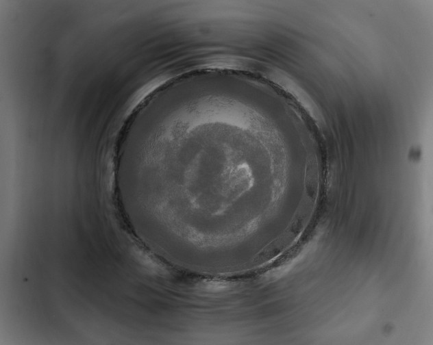 X0000103130829200808291314
