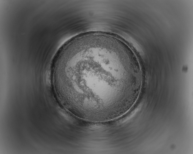 X0000103130830200808291314