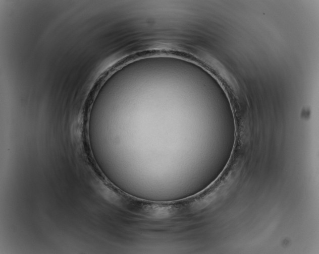 X0000103130831200808291314