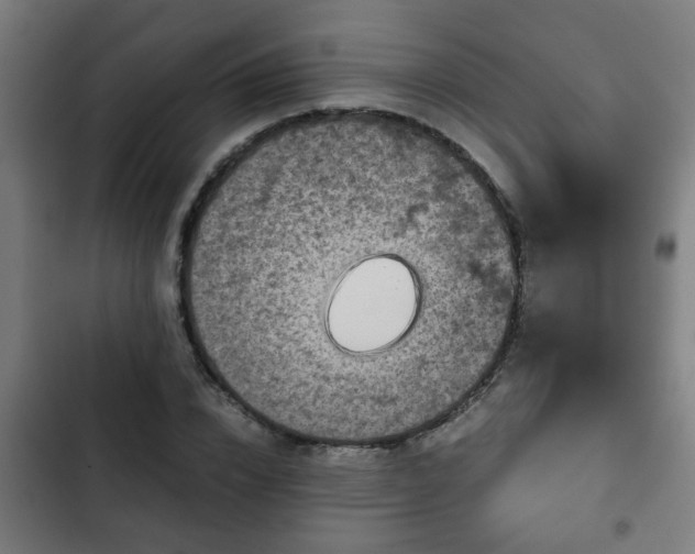 X0000103130832200808291314