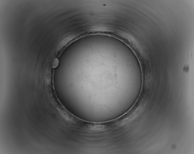 X0000103130833200808291314