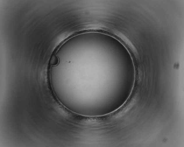X0000103130834200808291314