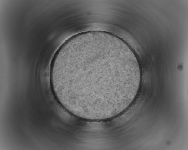 X0000103130836200808291314