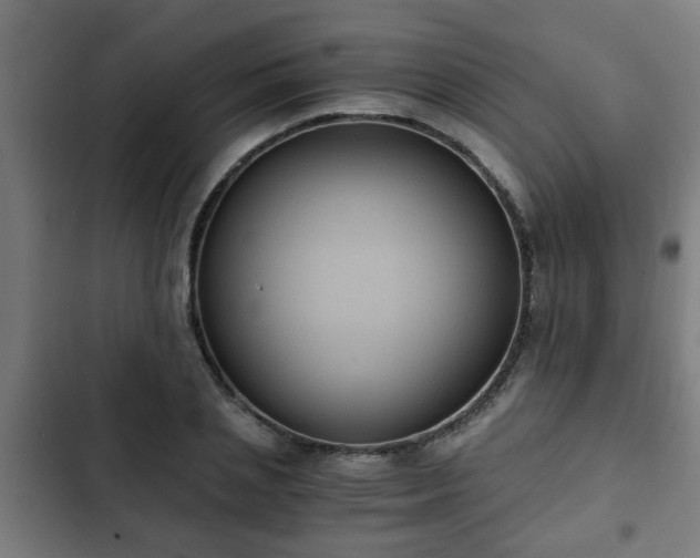 X0000103130837200808291314