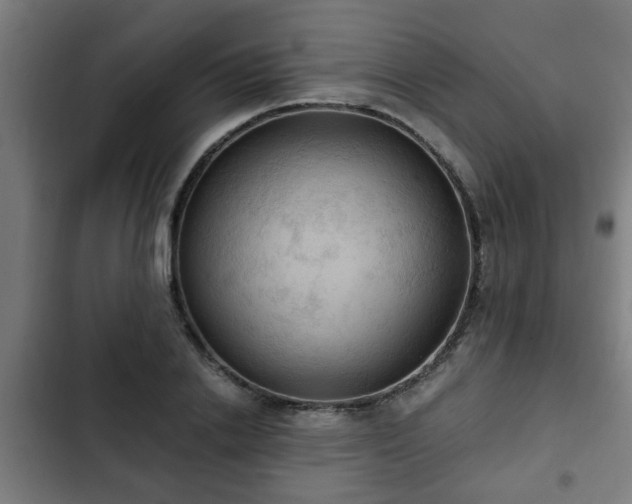 X0000103130838200808291314