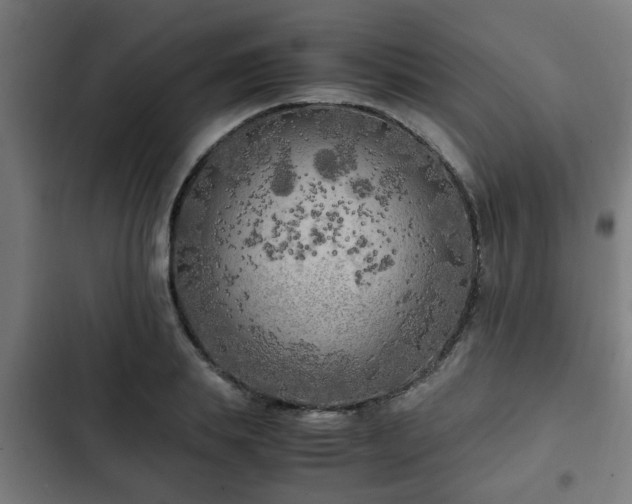 X0000103130839200808291314