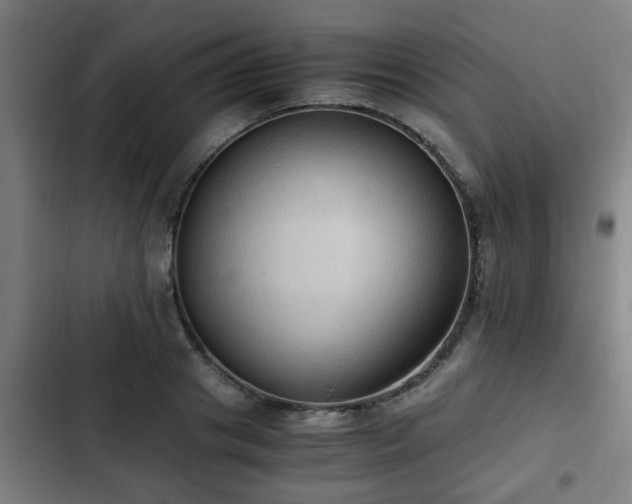 X0000103130841200808291314