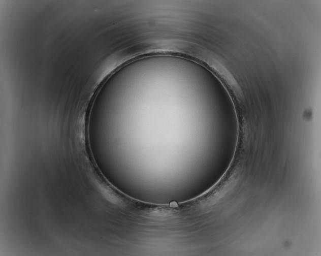 X0000103130842200808291314